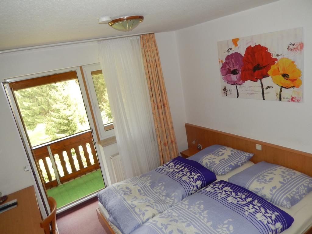 Hotel-Pension Rennsteighutte Frauenwald Ngoại thất bức ảnh